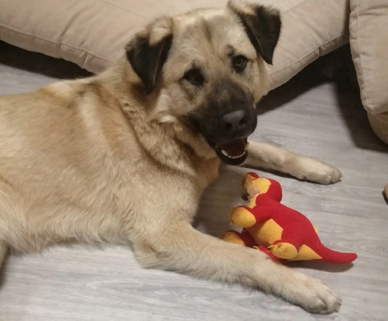 ������� � ������� ��� ���� � ������ ����