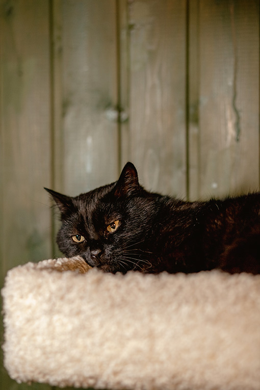 ��������� ������ ��� � ������ ����