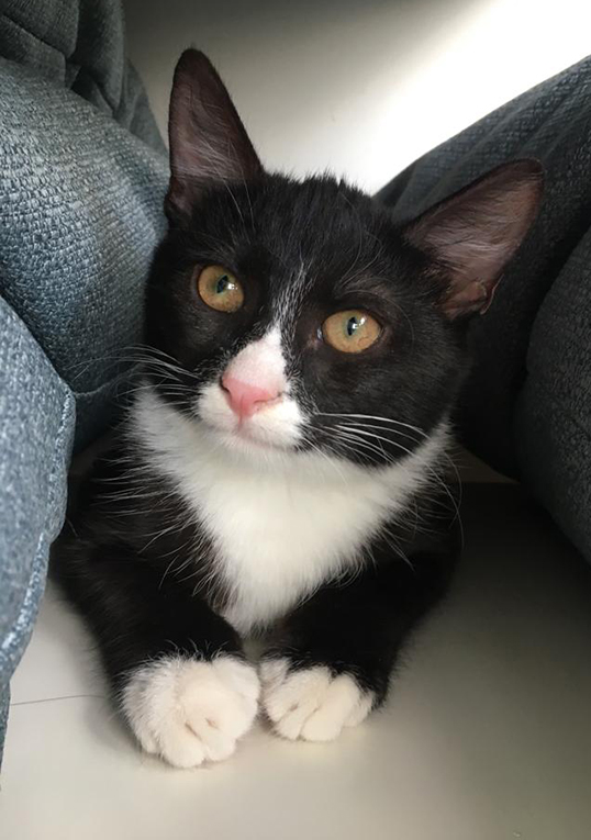 �������� ������� ��� ����� ���� ���� � ����