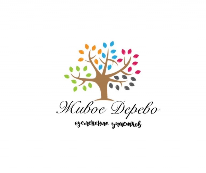 O�e�e����e �epp��op�� ��c���a �p�����ep�� � ���a���e� ������ae�oc��