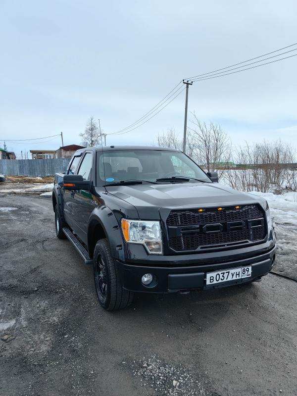 ������ ���������� FORD F-150 2009 �.�.